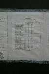 Delta Dunarii - Canalul Sf. Gheorghe - drumul inapoi spre Tulcea (I)