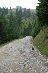 cu bicicleta in bucegi