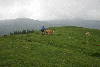 cu bicicleta in bucegi