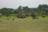 MARAMURES: Cimitirul Sapanta ,tzoacla, cu bicicleta