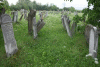 MARAMURES: Cimitirul evreiesc parasit ,tzoacla, cu bicicleta