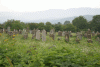 MARAMURES: Cimitirul evreiesc parasit ,tzoacla, cu bicicleta