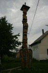 MARAMURES: Cimitirul evreiesc parasit ,tzoacla, cu bicicleta