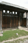 MARAMURES: Sat Sugatag ,tzoacla, cu bicicleta